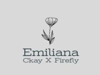 Ckay Firefly — Emiliana Duet