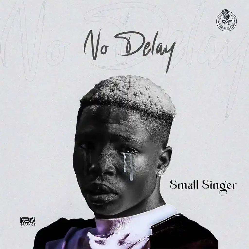 Small Singer No Delay